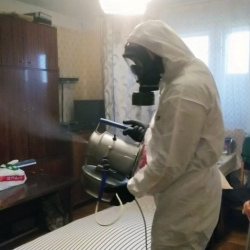 Дезинфекция от клопов в Бескудниковском районе Москвы