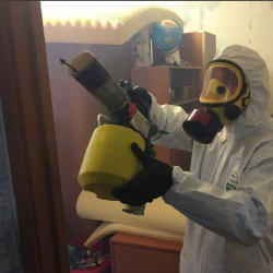 Уничтожение клопов в квартире. Бескудниковский район