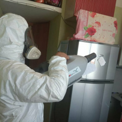 Уничтожение насекомых в квартире. Бескудниковский район